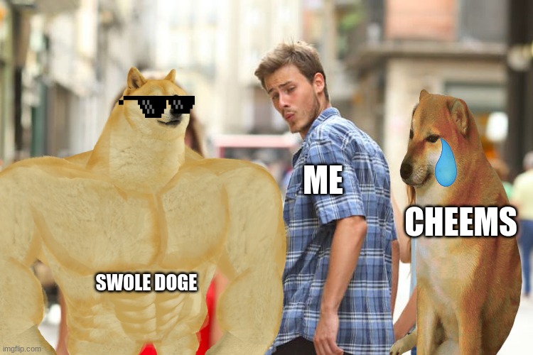 buff doge | ME; CHEEMS; SWOLE DOGE | image tagged in buff doge vs cheems | made w/ Imgflip meme maker