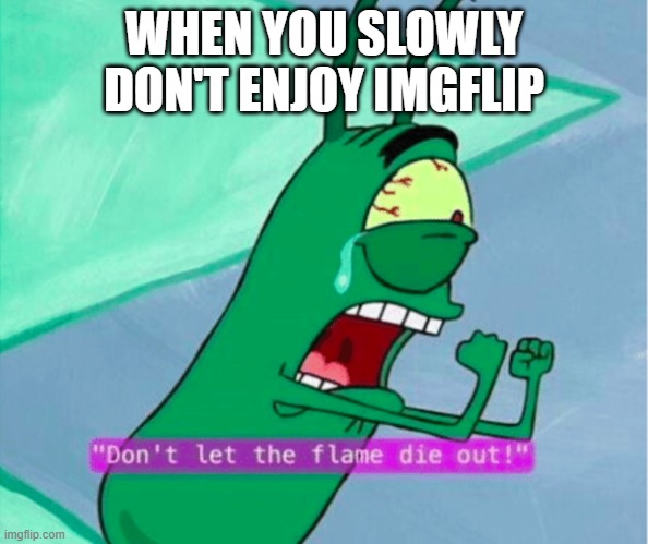 Dont let the flame die out | WHEN YOU SLOWLY DON'T ENJOY IMGFLIP | image tagged in dont let the flame die out | made w/ Imgflip meme maker