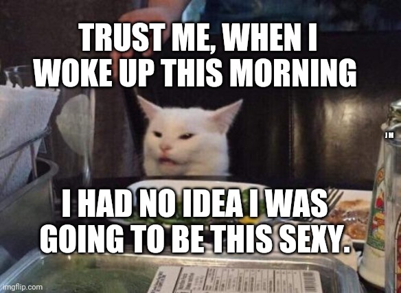 Salad cat | TRUST ME, WHEN I WOKE UP THIS MORNING; J M; I HAD NO IDEA I WAS GOING TO BE THIS SEXY. | image tagged in salad cat | made w/ Imgflip meme maker