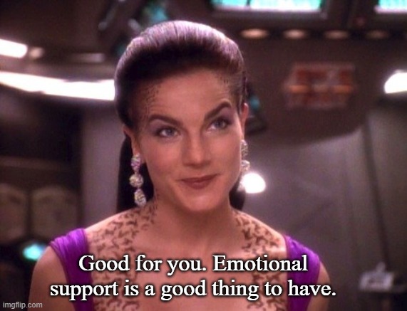Jadzia Dax Smiling | Good for you. Emotional support is a good thing to have. | image tagged in jadzia dax smiling | made w/ Imgflip meme maker