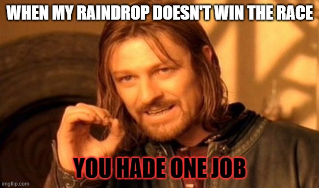 One Does Not Simply Meme | WHEN MY RAINDROP DOESN'T WIN THE RACE; YOU HADE ONE JOB | image tagged in memes,one does not simply | made w/ Imgflip meme maker
