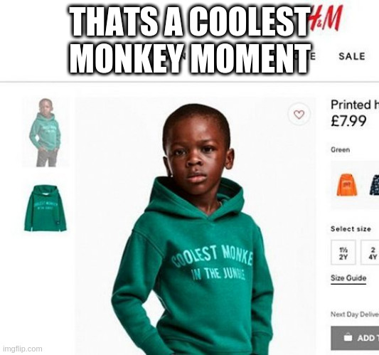 h&m coolest monkey | THATS A COOLEST MONKEY MOMENT | image tagged in h m coolest monkey | made w/ Imgflip meme maker