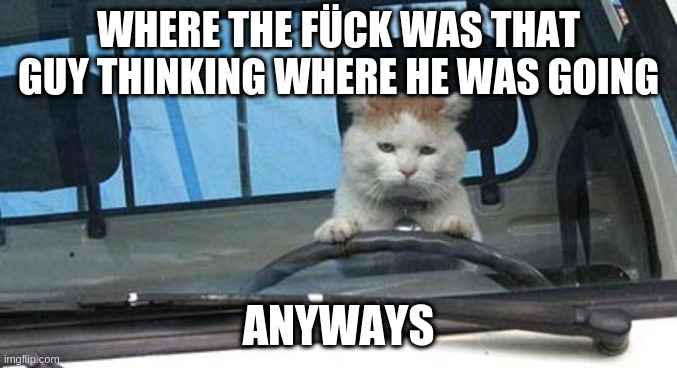 Cat Drivibg Truck | WHERE THE FÜCK WAS THAT GUY THINKING WHERE HE WAS GOING ANYWAYS | image tagged in cat drivibg truck | made w/ Imgflip meme maker