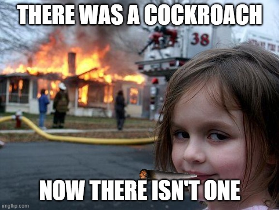 Disaster Girl | THERE WAS A COCKROACH; NOW THERE ISN'T ONE | image tagged in memes,disaster girl | made w/ Imgflip meme maker