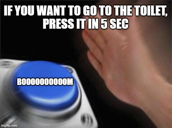 Blank Nut Button | IF YOU WANT TO GO TO THE TOILET,
PRESS IT IN 5 SEC; BOOOOOOOOOOM | image tagged in memes,blank nut button | made w/ Imgflip meme maker