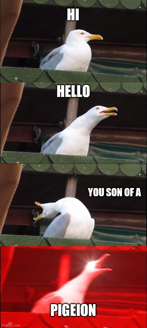 Ahhh | HI; HELLO; YOU SON OF A; PIGEION | image tagged in memes,inhaling seagull | made w/ Imgflip meme maker