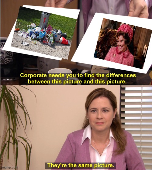 They're The Same Picture Meme | image tagged in memes,they're the same picture | made w/ Imgflip meme maker