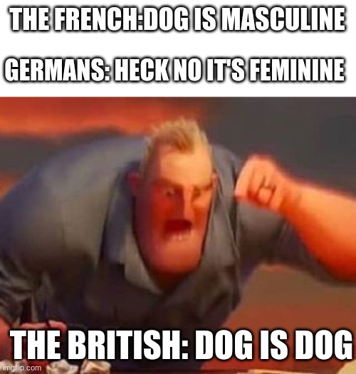 Dog | THE FRENCH:DOG IS MASCULINE; GERMANS: HECK NO IT'S FEMININE; THE BRITISH: DOG IS DOG | image tagged in mr incredible mad | made w/ Imgflip meme maker