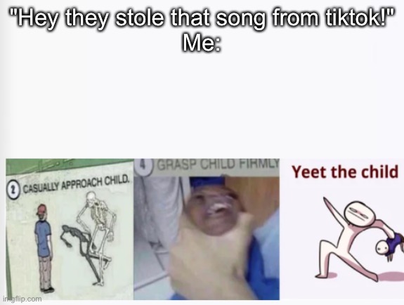 Casually Approach Child, Grasp Child Firmly, Yeet the Child | "Hey they stole that song from tiktok!"
Me: | image tagged in casually approach child grasp child firmly yeet the child | made w/ Imgflip meme maker
