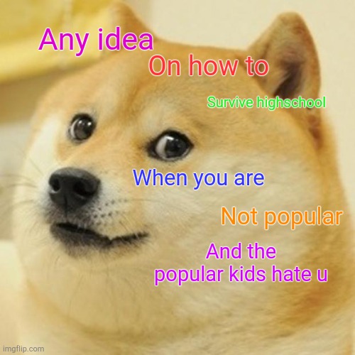 Doge | Any idea; On how to; Survive highschool; When you are; Not popular; And the popular kids hate u | image tagged in memes,doge | made w/ Imgflip meme maker