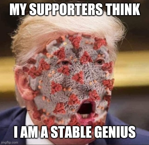 Trump's virus | MY SUPPORTERS THINK I AM A STABLE GENIUS | image tagged in trump's virus | made w/ Imgflip meme maker