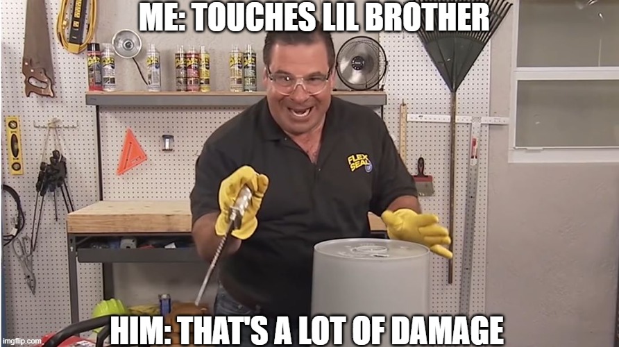 Phil Swift That's A Lotta Damage (Flex Tape/Seal) | ME: TOUCHES LIL BROTHER; HIM: THAT'S A LOT OF DAMAGE | image tagged in phil swift that's a lotta damage flex tape/seal | made w/ Imgflip meme maker
