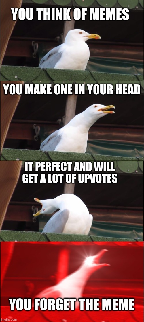 i hope this makes it to the front page | YOU THINK OF MEMES; YOU MAKE ONE IN YOUR HEAD; IT PERFECT AND WILL GET A LOT OF UPVOTES; YOU FORGET THE MEME | image tagged in memes,inhaling seagull | made w/ Imgflip meme maker
