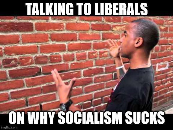 Liberal deaf ears | TALKING TO LIBERALS; ON WHY SOCIALISM SUCKS | image tagged in brick wall guy | made w/ Imgflip meme maker