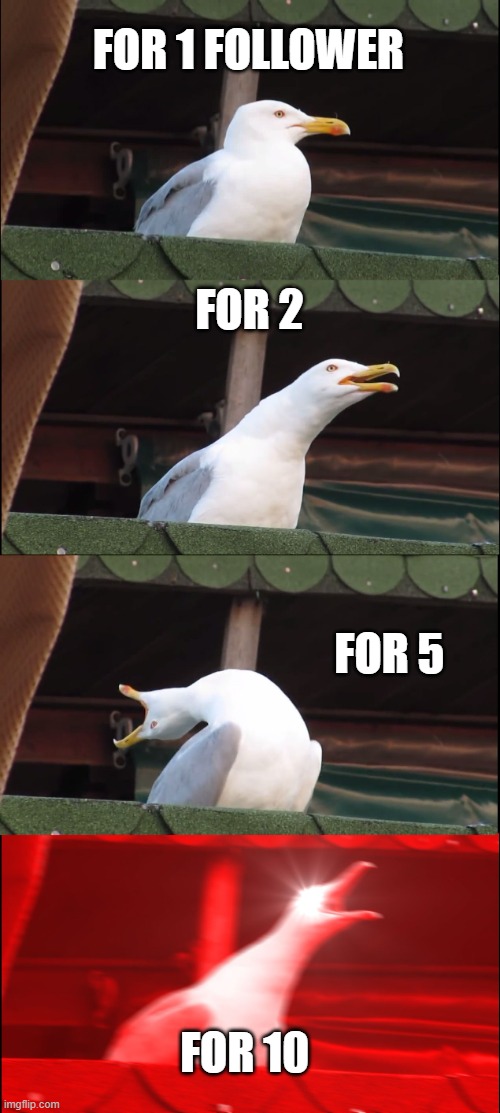 for follower | FOR 1 FOLLOWER; FOR 2; FOR 5; FOR 10 | image tagged in memes,inhaling seagull | made w/ Imgflip meme maker