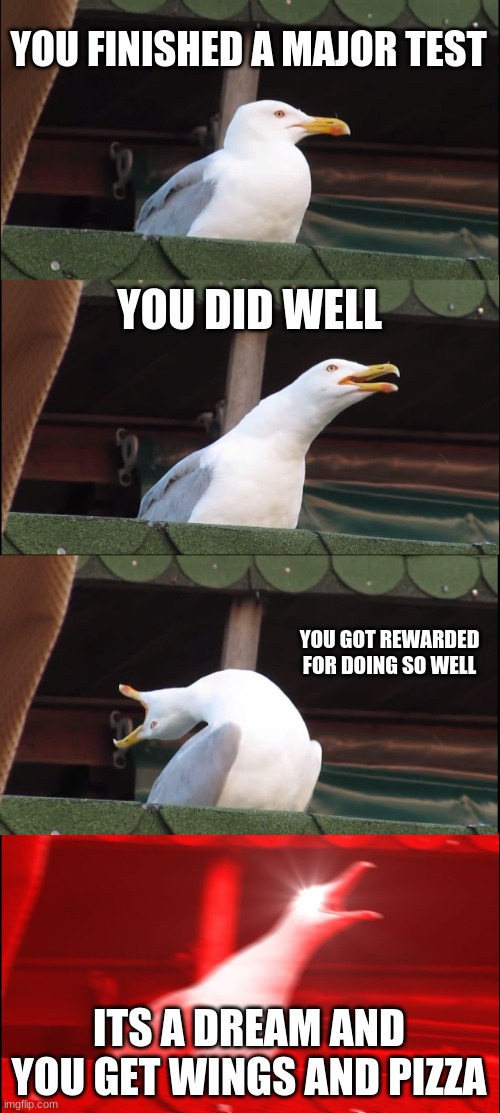 aim for an A | YOU FINISHED A MAJOR TEST; YOU DID WELL; YOU GOT REWARDED FOR DOING SO WELL; ITS A DREAM AND YOU GET WINGS AND PIZZA | image tagged in memes,inhaling seagull | made w/ Imgflip meme maker