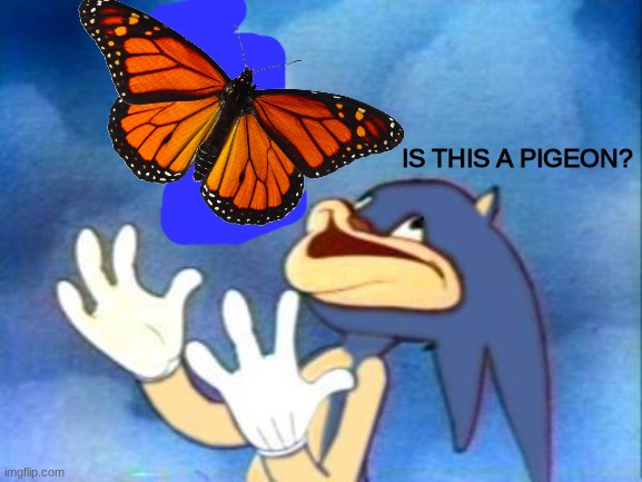 Sanic | IS THIS A PIGEON? | image tagged in sanic | made w/ Imgflip meme maker