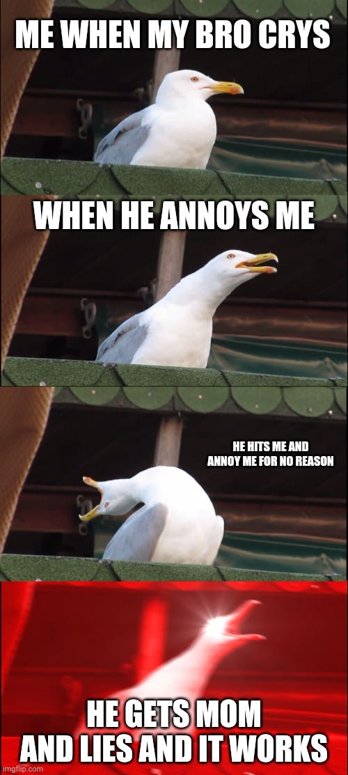 Inhaling Seagull | ME WHEN MY BRO CRYS; WHEN HE ANNOYS ME; HE HITS ME AND ANNOY ME FOR NO REASON; HE GETS MOM AND LIES AND IT WORKS | image tagged in memes,inhaling seagull | made w/ Imgflip meme maker