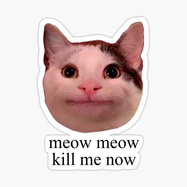 High Quality MEOW MEOW KILL ME NOW Blank Meme Template