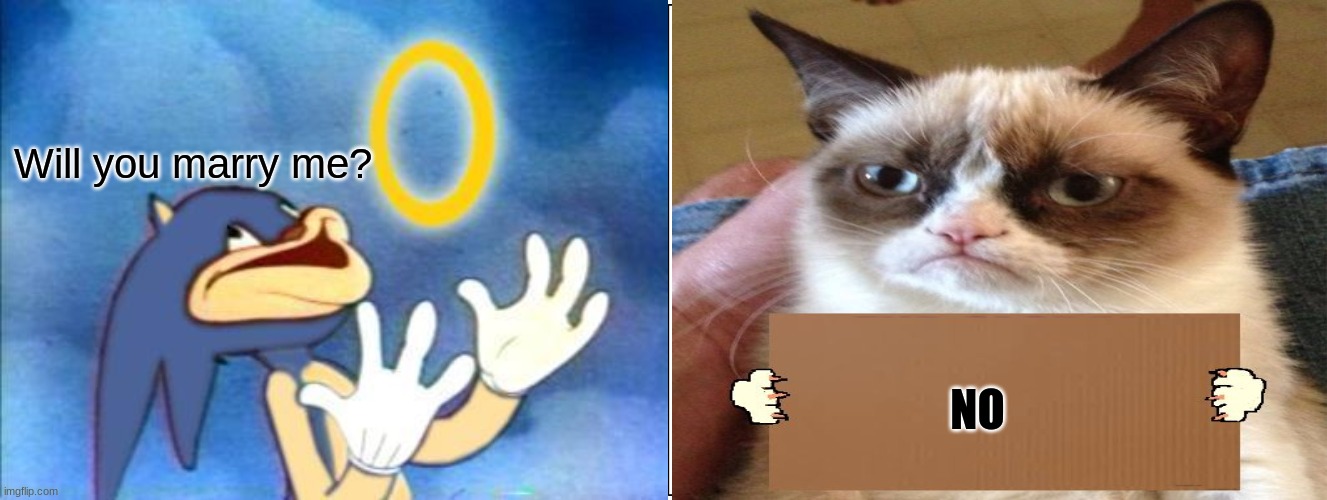 Will you marry me? NO | image tagged in sanic,grumpy cat | made w/ Imgflip meme maker