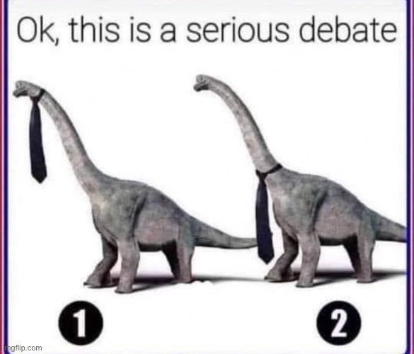 A very serious debate | made w/ Imgflip meme maker