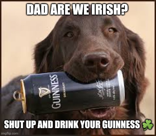 Dad are we Irish? | DAD ARE WE IRISH? SHUT UP AND DRINK YOUR GUINNESS ☘️ | image tagged in beer,guinness,irish,dogs,shut up,funny | made w/ Imgflip meme maker