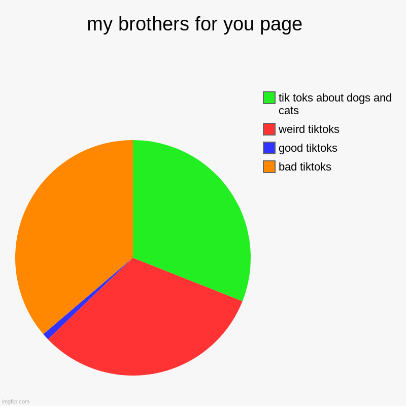 my brothers for you page   | bad tiktoks, good tiktoks , weird tiktoks, tik toks about dogs and cats | image tagged in charts,pie charts | made w/ Imgflip chart maker