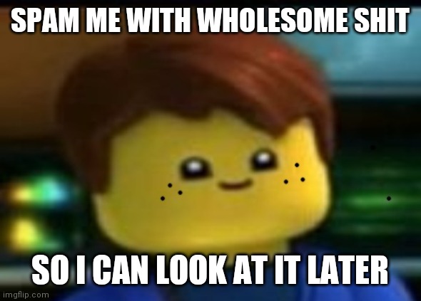 Bcuz s c h o o l | SPAM ME WITH WHOLESOME SHIT; SO I CAN LOOK AT IT LATER | image tagged in blursed jay | made w/ Imgflip meme maker