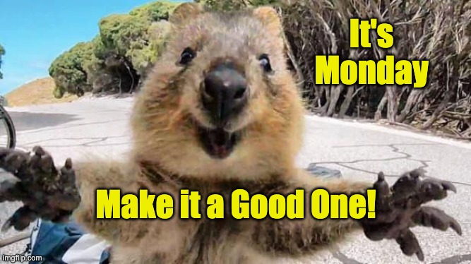 Monday | It's Monday; Make it a Good One! | image tagged in happy,monday,happiness,joy,monday face | made w/ Imgflip meme maker