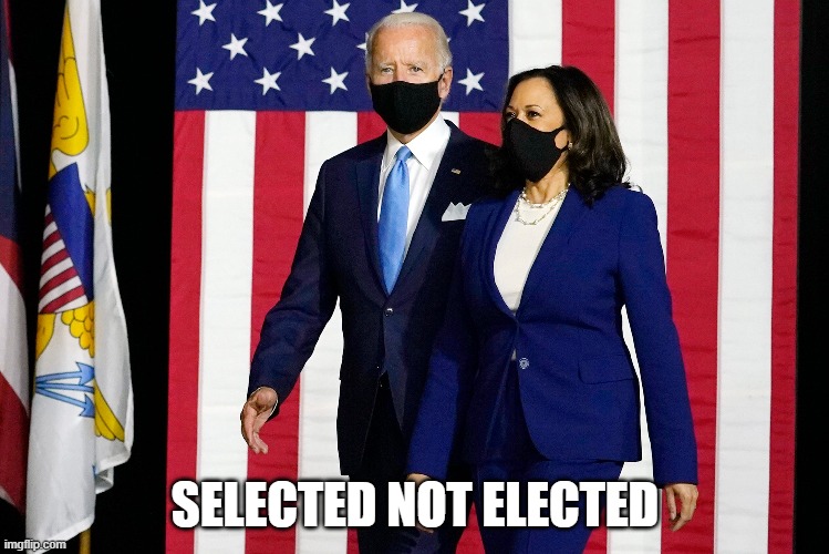 Selected not elected | SELECTED NOT ELECTED | image tagged in joe biden,kamala harris | made w/ Imgflip meme maker