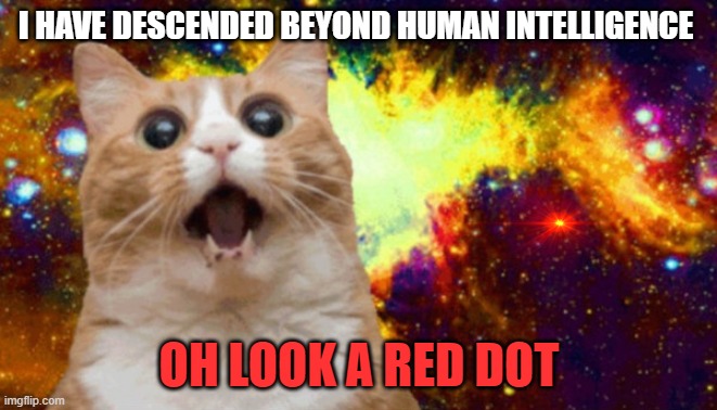 cat genius | I HAVE DESCENDED BEYOND HUMAN INTELLIGENCE; OH LOOK A RED DOT | image tagged in cat genius | made w/ Imgflip meme maker