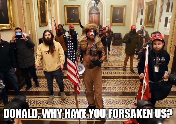 Capitol Buffalo guy | DONALD, WHY HAVE YOU FORSAKEN US? | image tagged in capitol buffalo guy | made w/ Imgflip meme maker
