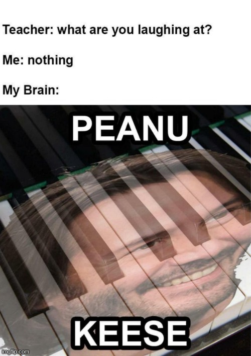 image tagged in lol | made w/ Imgflip meme maker