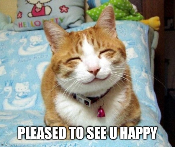 Cute Smiling Cat | PLEASED TO SEE U HAPPY | image tagged in cute smiling cat | made w/ Imgflip meme maker