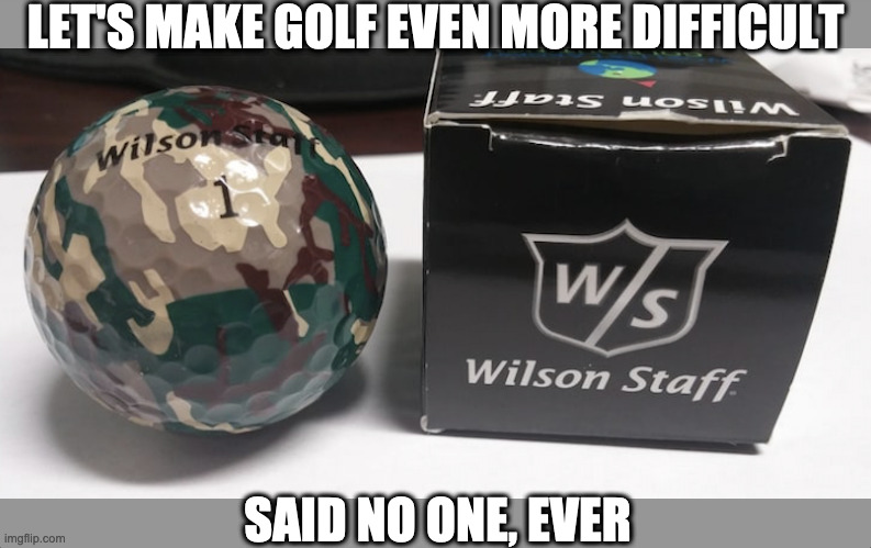 LET'S MAKE GOLF EVEN MORE DIFFICULT; SAID NO ONE, EVER | image tagged in golf,difficult,golf ball | made w/ Imgflip meme maker