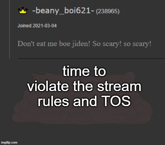 beany | time to violate the stream rules and TOS | image tagged in beany | made w/ Imgflip meme maker