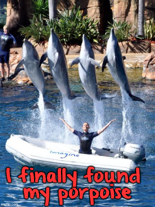 I finally found 
my porpoise | image tagged in eye roll | made w/ Imgflip meme maker