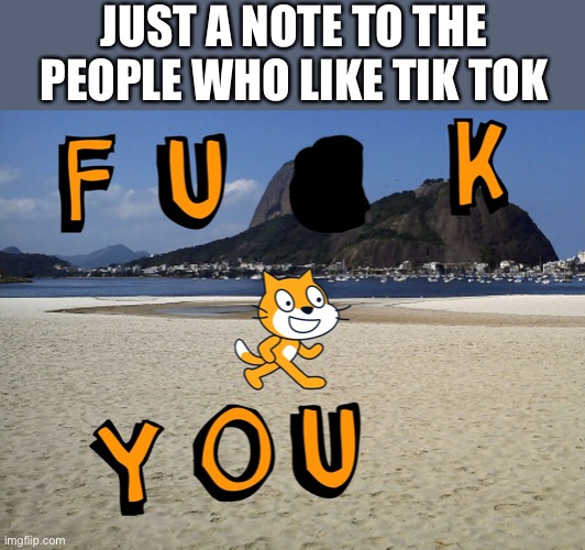 It really sucks | JUST A NOTE TO THE PEOPLE WHO LIKE TIK TOK | image tagged in tik tok sucks | made w/ Imgflip meme maker