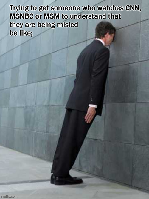 Telling truth to leftists be like; | Trying to get someone who watches CNN, 
MSNBC or MSM to understand that 
they are being misled
be like; | image tagged in politics,biased media | made w/ Imgflip meme maker