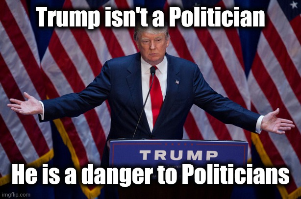 Donald Trump | Trump isn't a Politician He is a danger to Politicians | image tagged in donald trump | made w/ Imgflip meme maker