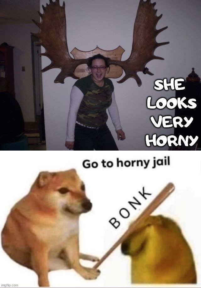 Bad pun |  SHE 
LOOKS VERY HORNY | image tagged in bonk-go-to-horny-jail,bad pun,moose | made w/ Imgflip meme maker