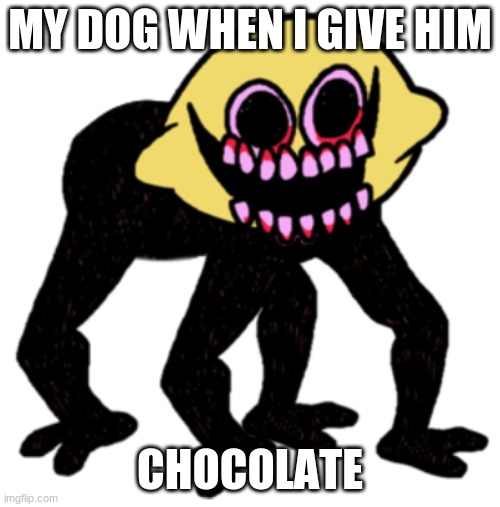 Cursed Lemon Demon | MY DOG WHEN I GIVE HIM; CHOCOLATE | image tagged in cursed lemon demon | made w/ Imgflip meme maker