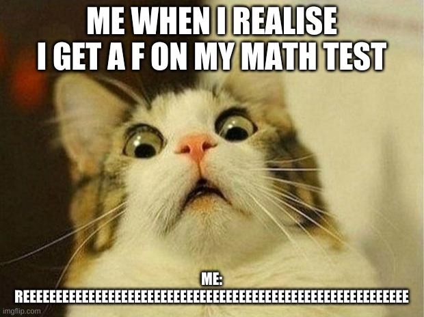 Scared Cat Meme | ME WHEN I REALISE I GET A F ON MY MATH TEST; ME: REEEEEEEEEEEEEEEEEEEEEEEEEEEEEEEEEEEEEEEEEEEEEEEEEEEEEEEEEEE | image tagged in memes,scared cat,clean,homework | made w/ Imgflip meme maker