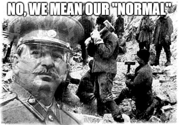 Stalin gulag | NO, WE MEAN OUR "NORMAL" | image tagged in stalin gulag | made w/ Imgflip meme maker