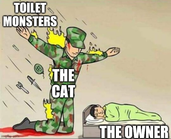 Soldier protecting sleeping child | TOILET MONSTERS THE CAT THE OWNER | image tagged in soldier protecting sleeping child | made w/ Imgflip meme maker