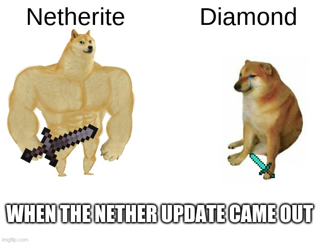 Poor diamond. | Netherite; Diamond; WHEN THE NETHER UPDATE CAME OUT | image tagged in memes,buff doge vs cheems | made w/ Imgflip meme maker