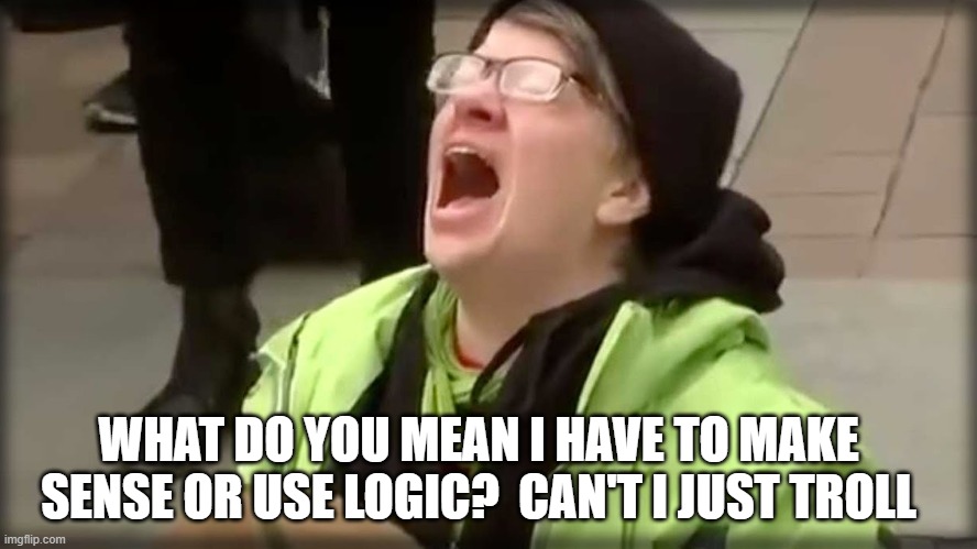 Trump SJW No | WHAT DO YOU MEAN I HAVE TO MAKE SENSE OR USE LOGIC?  CAN'T I JUST TROLL | image tagged in trump sjw no | made w/ Imgflip meme maker