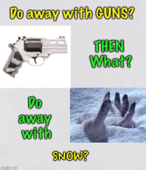 What Next?  That’s the obvious question, if you extend out the logic. | SNOW? | image tagged in memes,gun control,second amendment,2 a | made w/ Imgflip meme maker