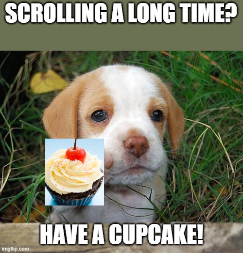 dog puppy bye | SCROLLING A LONG TIME? HAVE A CUPCAKE! | image tagged in dog puppy bye | made w/ Imgflip meme maker