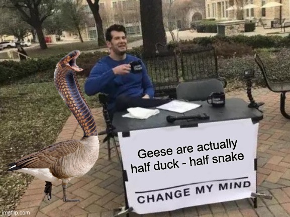 They got a body of a duck and the attitude of a snake | Geese are actually half duck - half snake | image tagged in memes,change my mind,duck,snake,goose | made w/ Imgflip meme maker